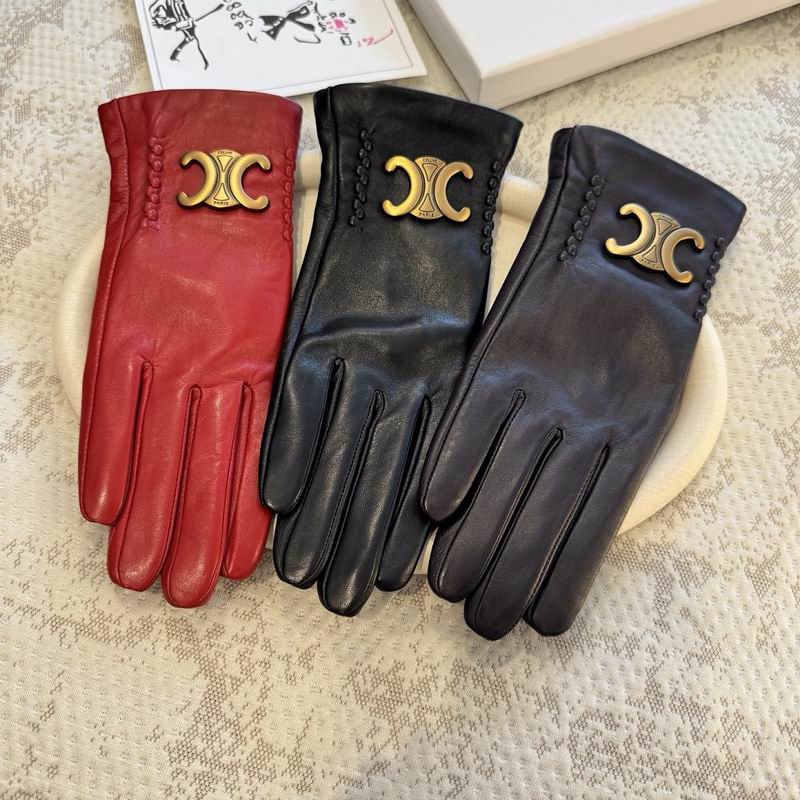 Celine gloves hm14